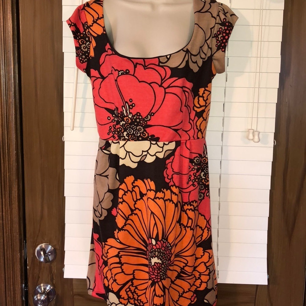 NWT Judith March Dress